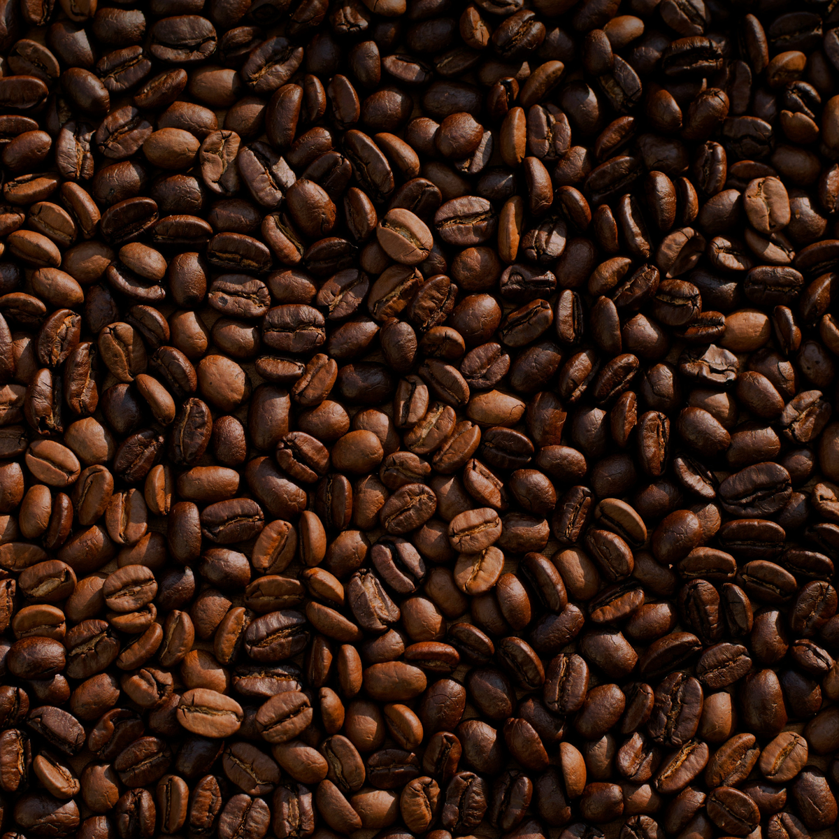 Image de Mike Kenneally representant des grains de café